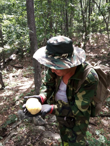 今年的东北农村题材的电视剧有哪些,知道的请