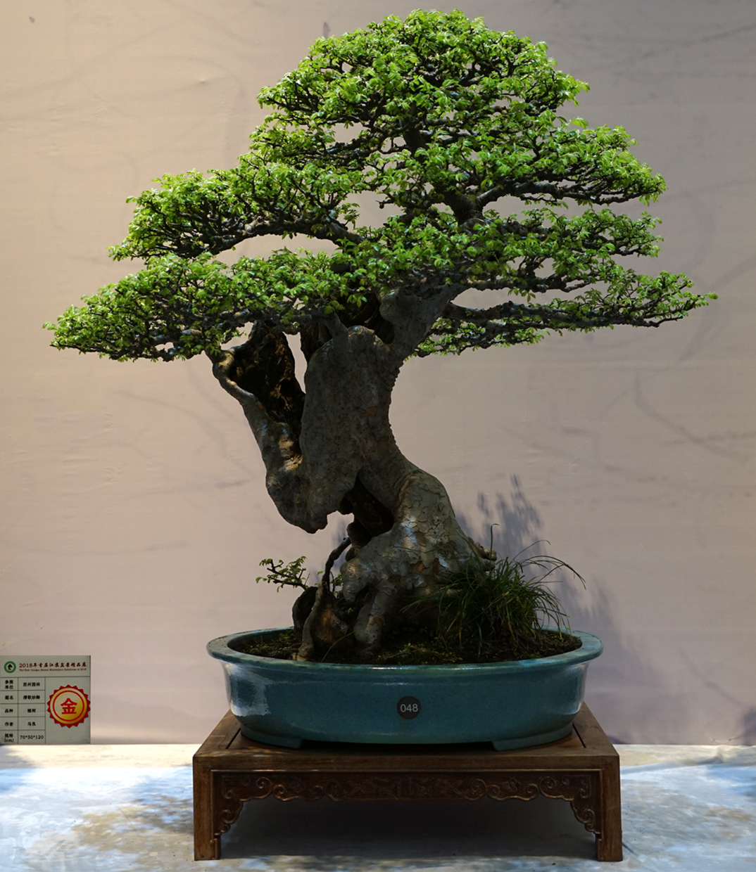 2018首届江苏盆景精品展