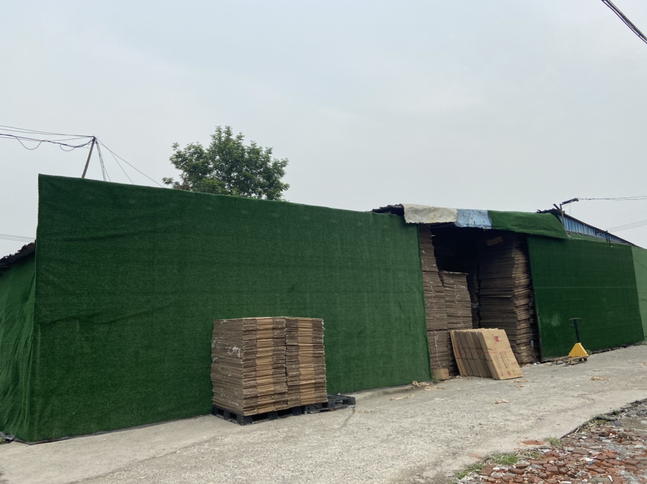 盛泽镇坛丘大熟村1组大量违章建筑