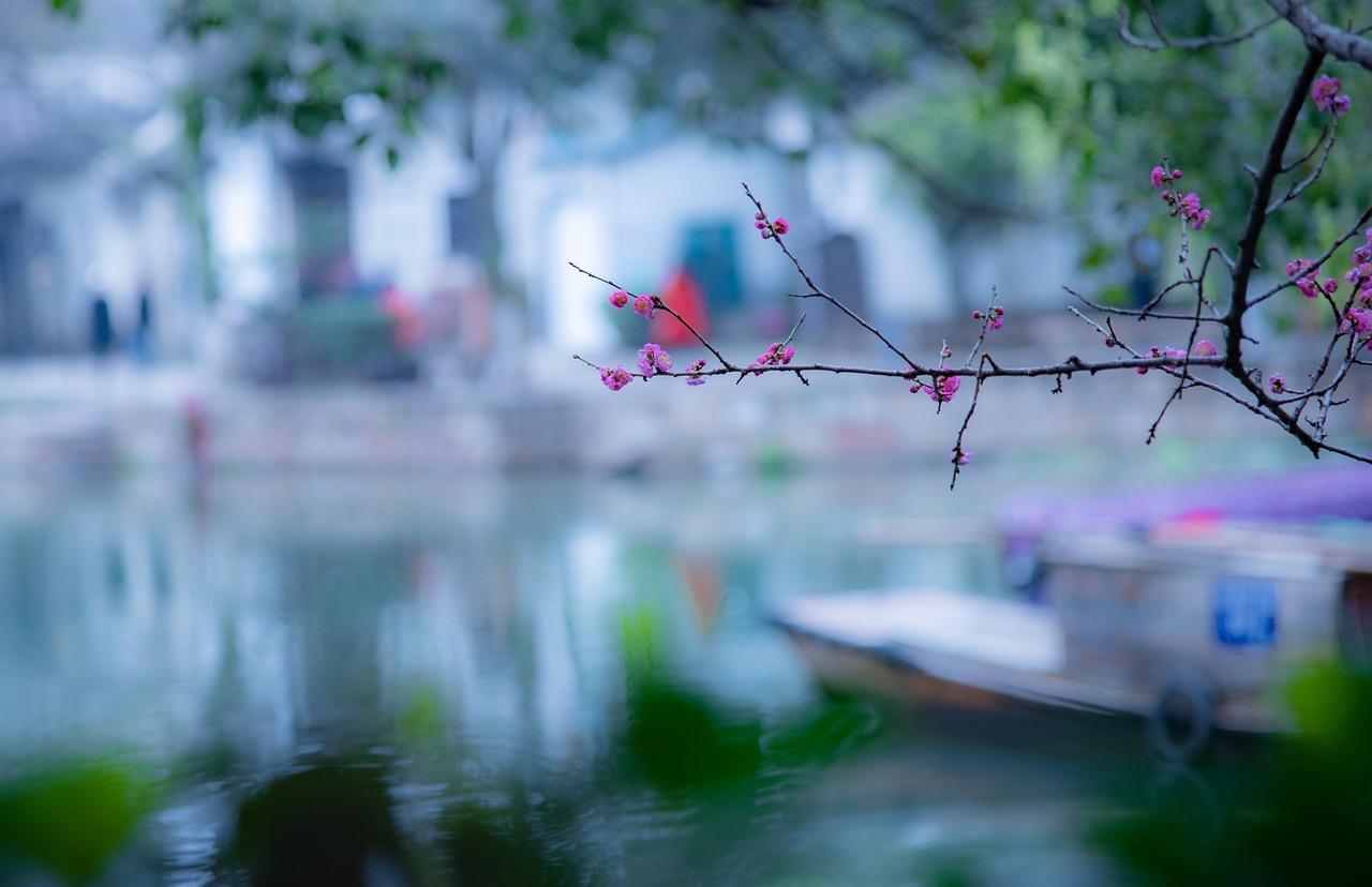 趁着蒙蒙细雨,去同里古镇感受烟雨江南