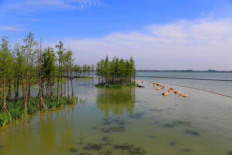 长三角纽带汾湖元荡湖美景