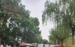 关于海亮长桥府西门流动摊贩占道经营造成交通安全隐患
