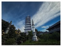 莲花盛开，同沾法喜。
