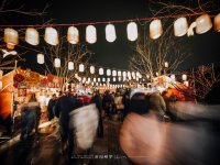 游园鲤梦（纪实篇）——瞻淇鱼灯的魅力