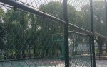 盛泽镇坝里村王家桥小区“篮球场”问题