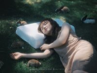 动物园里的白日梦——还是乳胶枕头睡得香啊