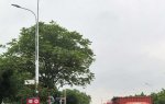 同津大道（云梨路-吉士东路）东侧110KV线路土建施工