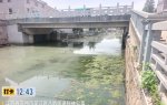 八坼环卫公司不作为
