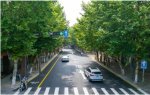 流虹路(中山路—公园路)改造完成，建议取消单行