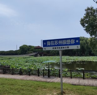 荷塘月色湿地公园