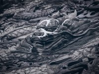 踏雪循山｜穹窿在应——苏州的雪终于拍到了