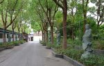 奉贤一日游