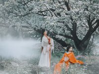 梨殇——两位古代美女在西山邂逅一场梨花梦