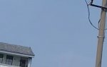 震泽双阳桥南堍小学国旗破旧升旗不规范