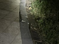 朗诗太湖绿郡问题铺天盖地