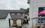 期待有人去处理