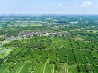 交汇点——沪苏湖高铁与苏台高速建成记