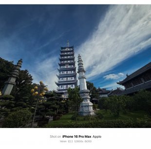 莲花盛开，同沾法喜。