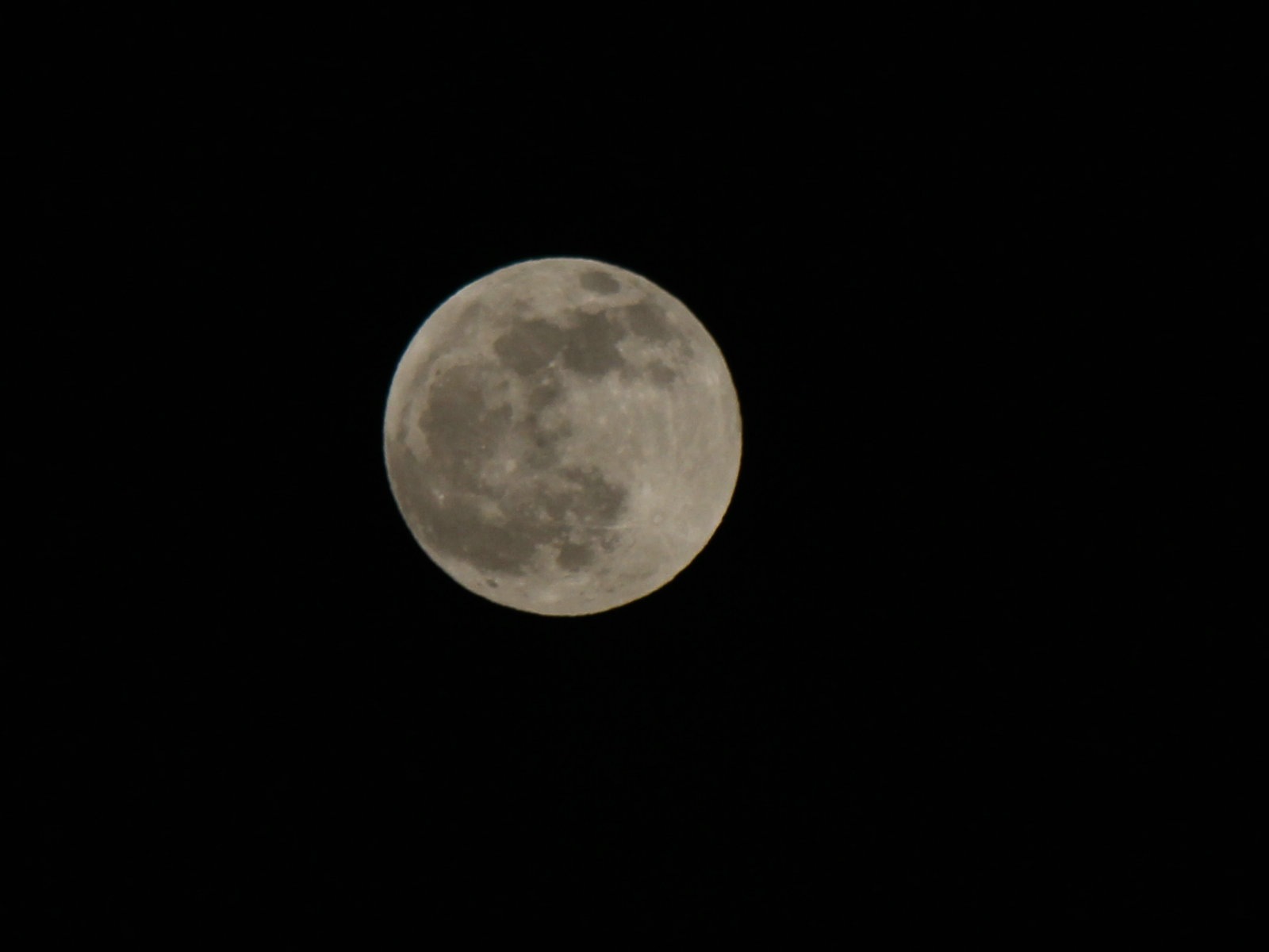 190311yxw9ox38smc338ws.jpg