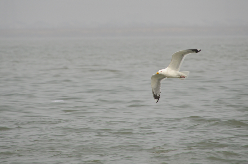 2012209xxfcj6icjckwxvw.jpg