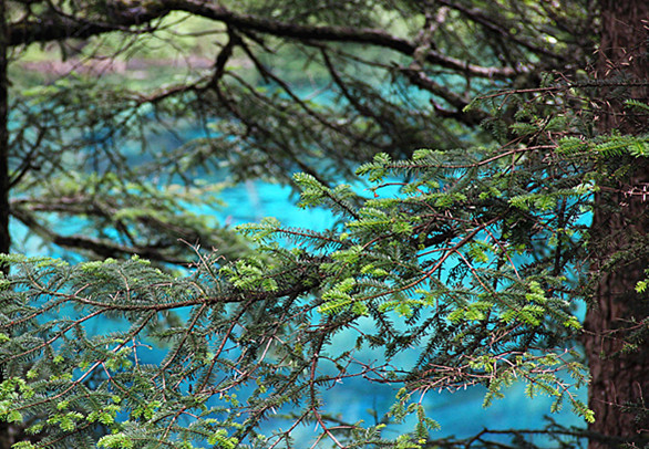 猜成语气下面有山有水_看图猜成语