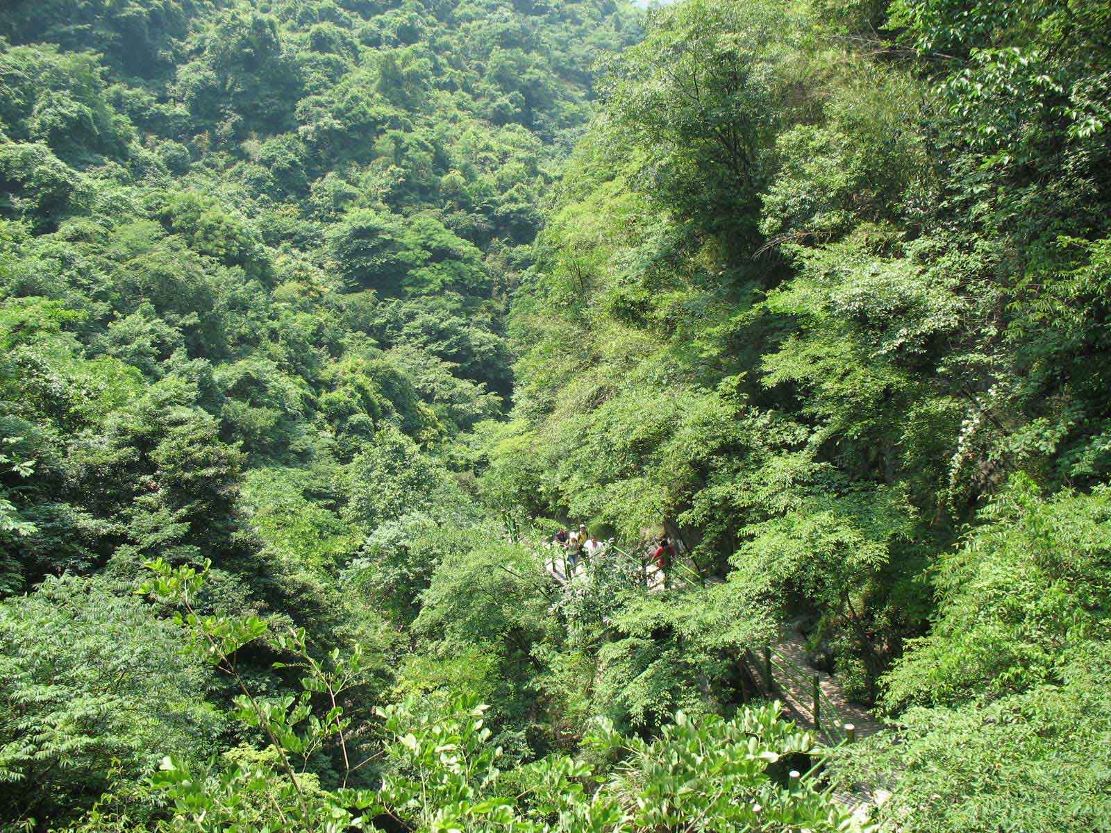 山清水秀好风光简谱_城讯C快来听此曲唱出福州好风光,好生活 好心情(2)