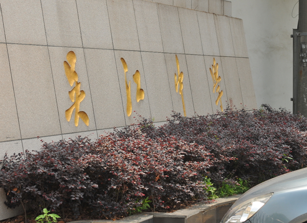 吴江中学70届高中毕业生相聚感言