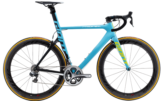 自行车品牌排行_电动自行车品牌排行(2)