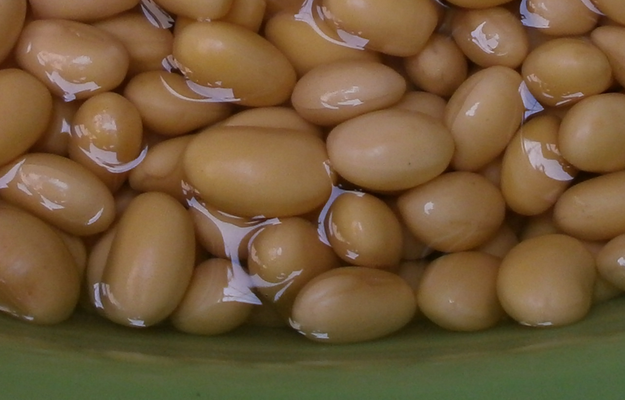 家庭自制黄豆酱之完整版!