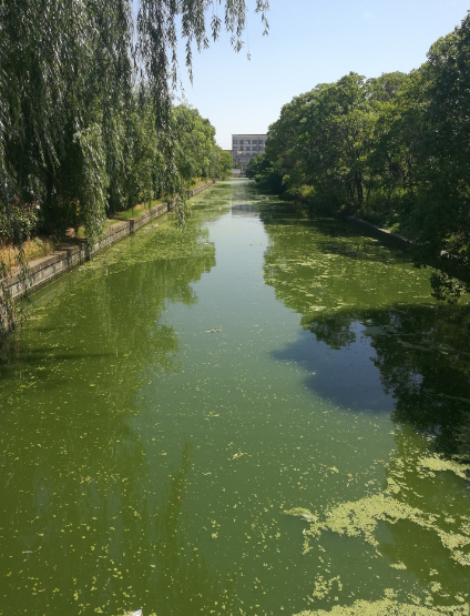 梅堰也有这样的好"风景"