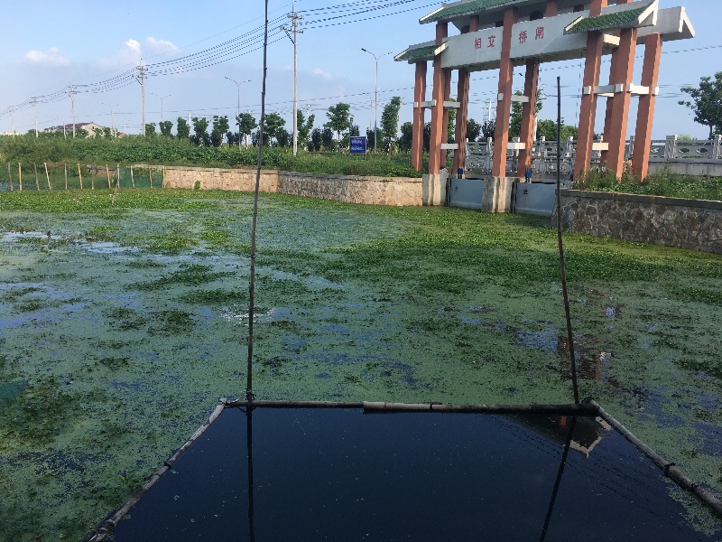 盛泽南麻人口_盛泽南麻规划图