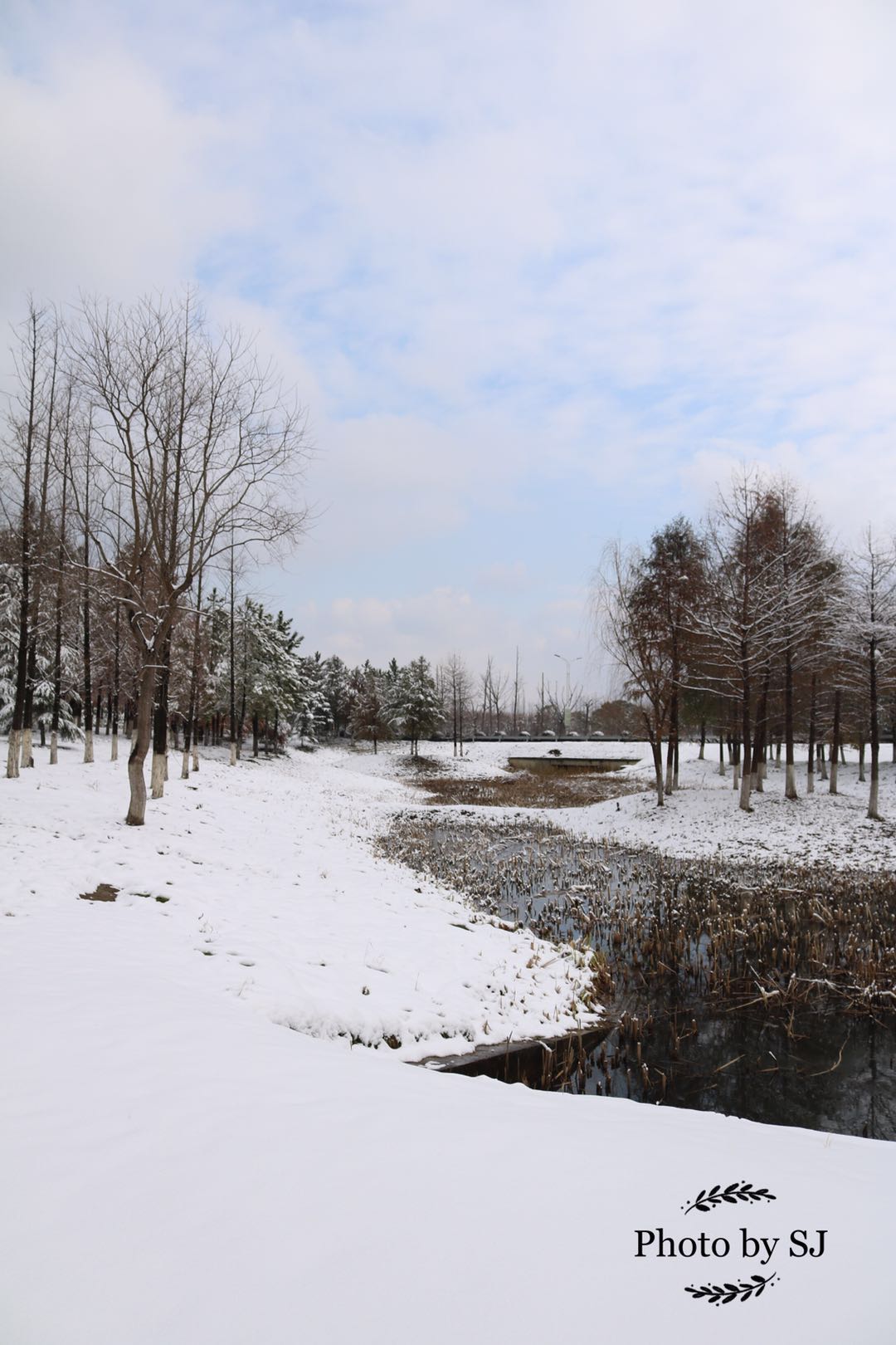 雪中吳江#之東太湖雪景