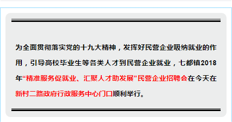 七都招聘_七都民营企业专场招聘会现场(3)