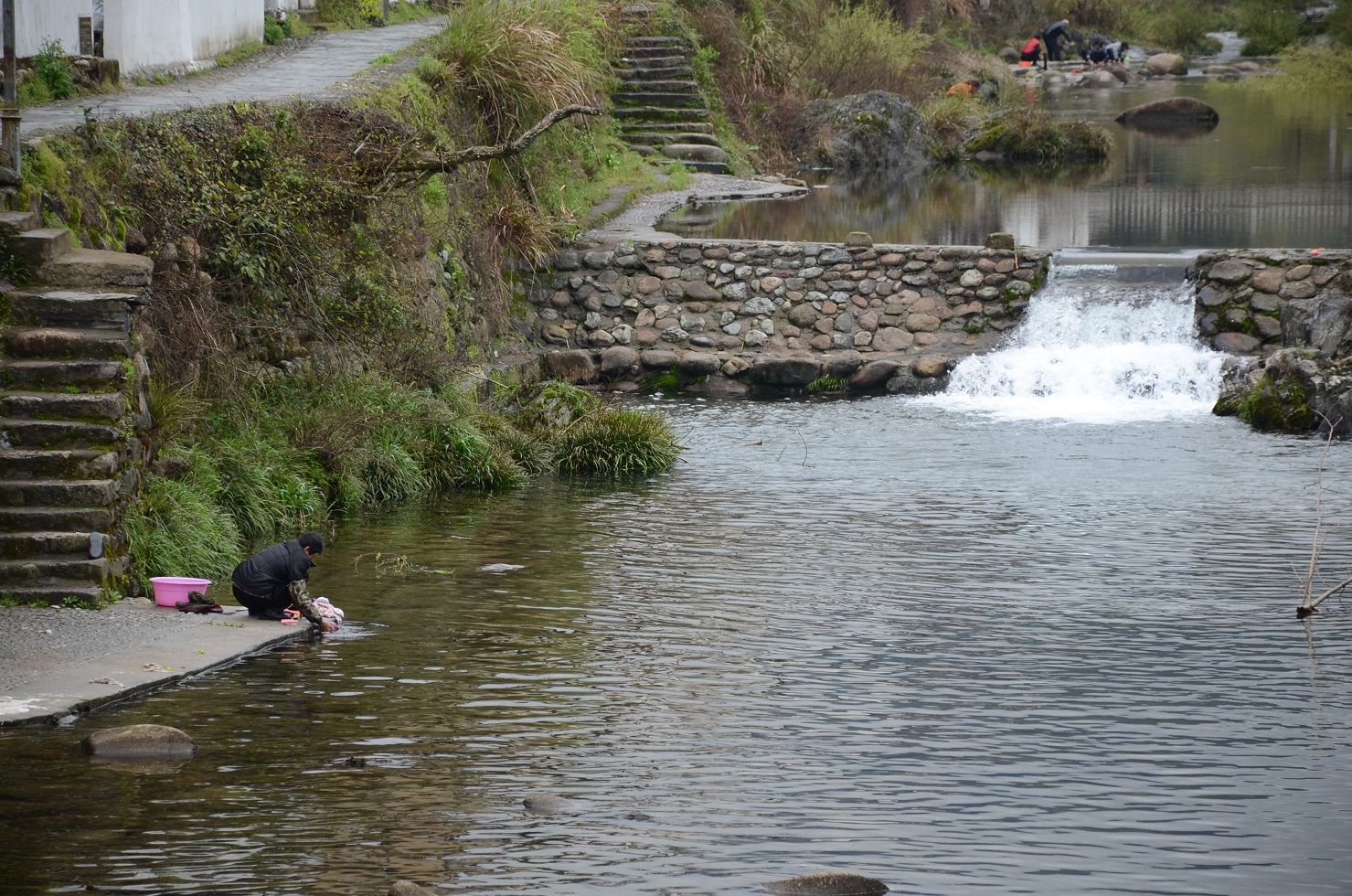 DSC_2903.JPG