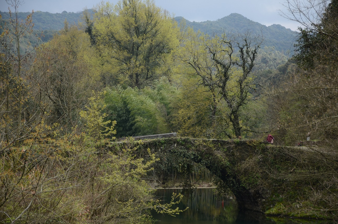 DSC_2948.JPG