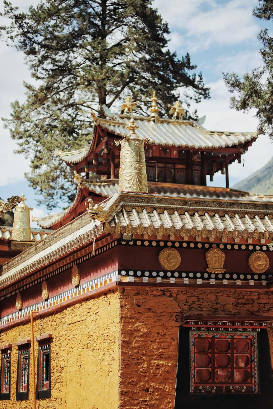 图片19.jpg