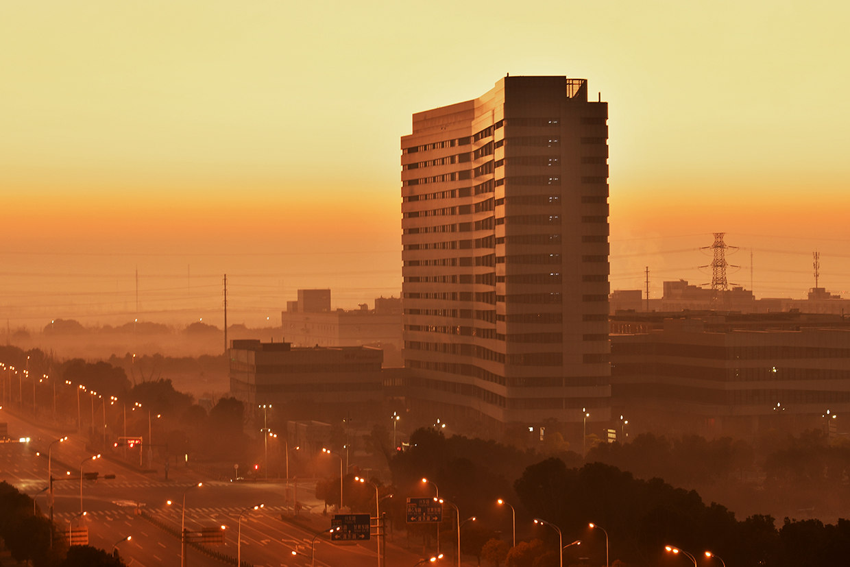 DSC_1971-2.jpg