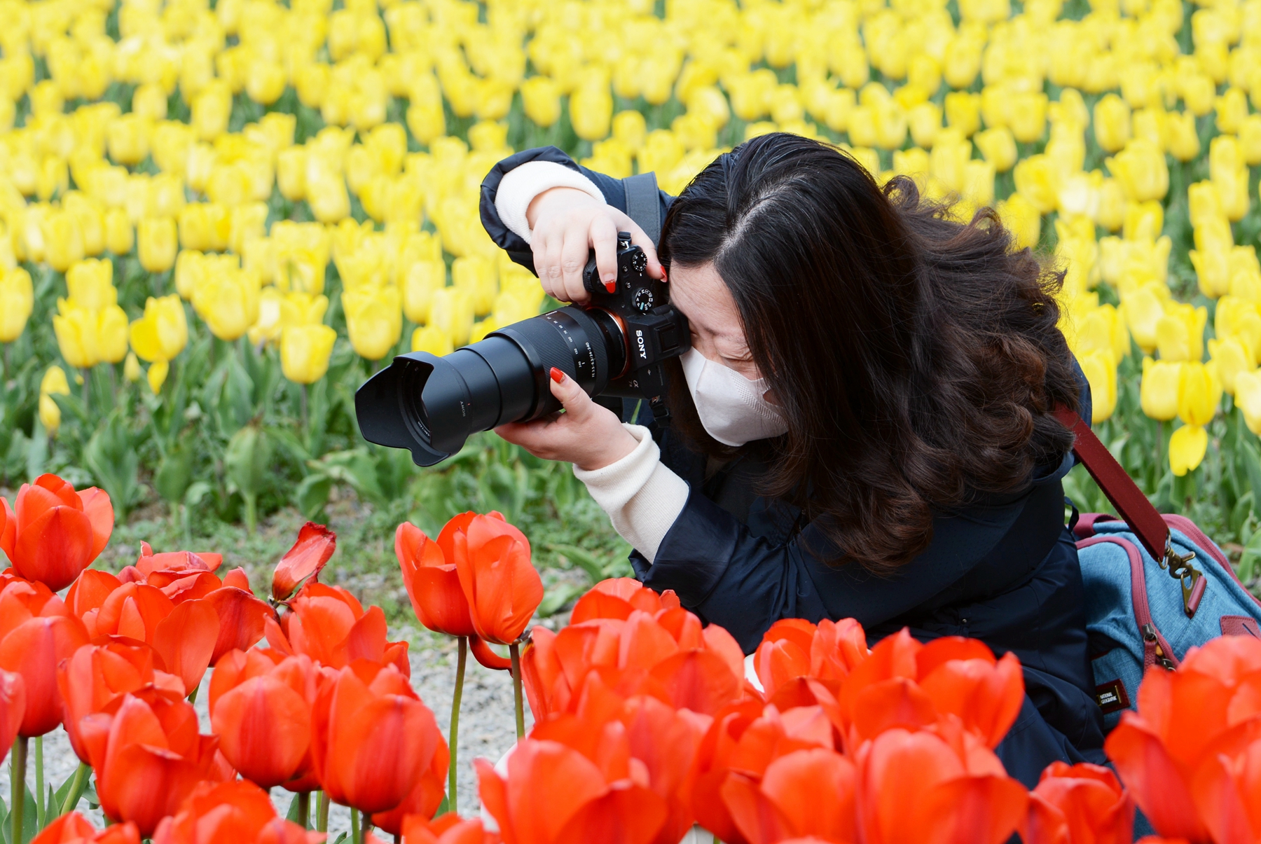 人与花的完美结合