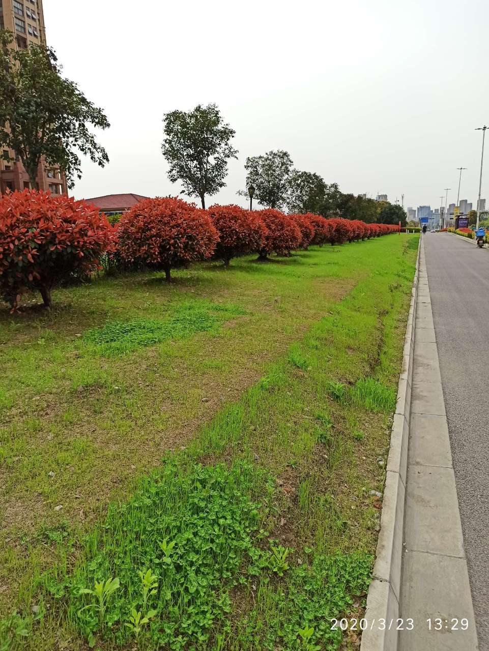 开平路这侧绿化能改进些吗
