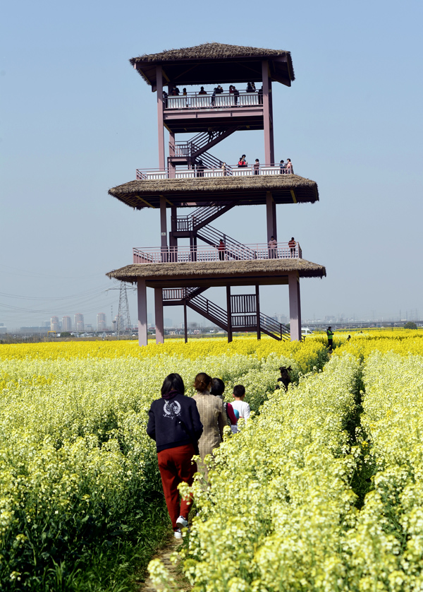 到北联村看油菜花去