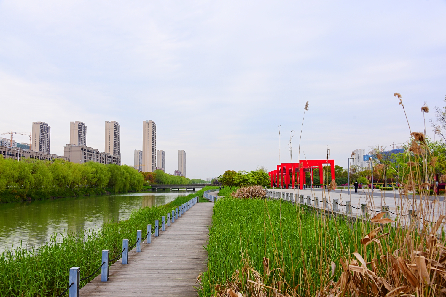 春光下的芦荡湿地公园