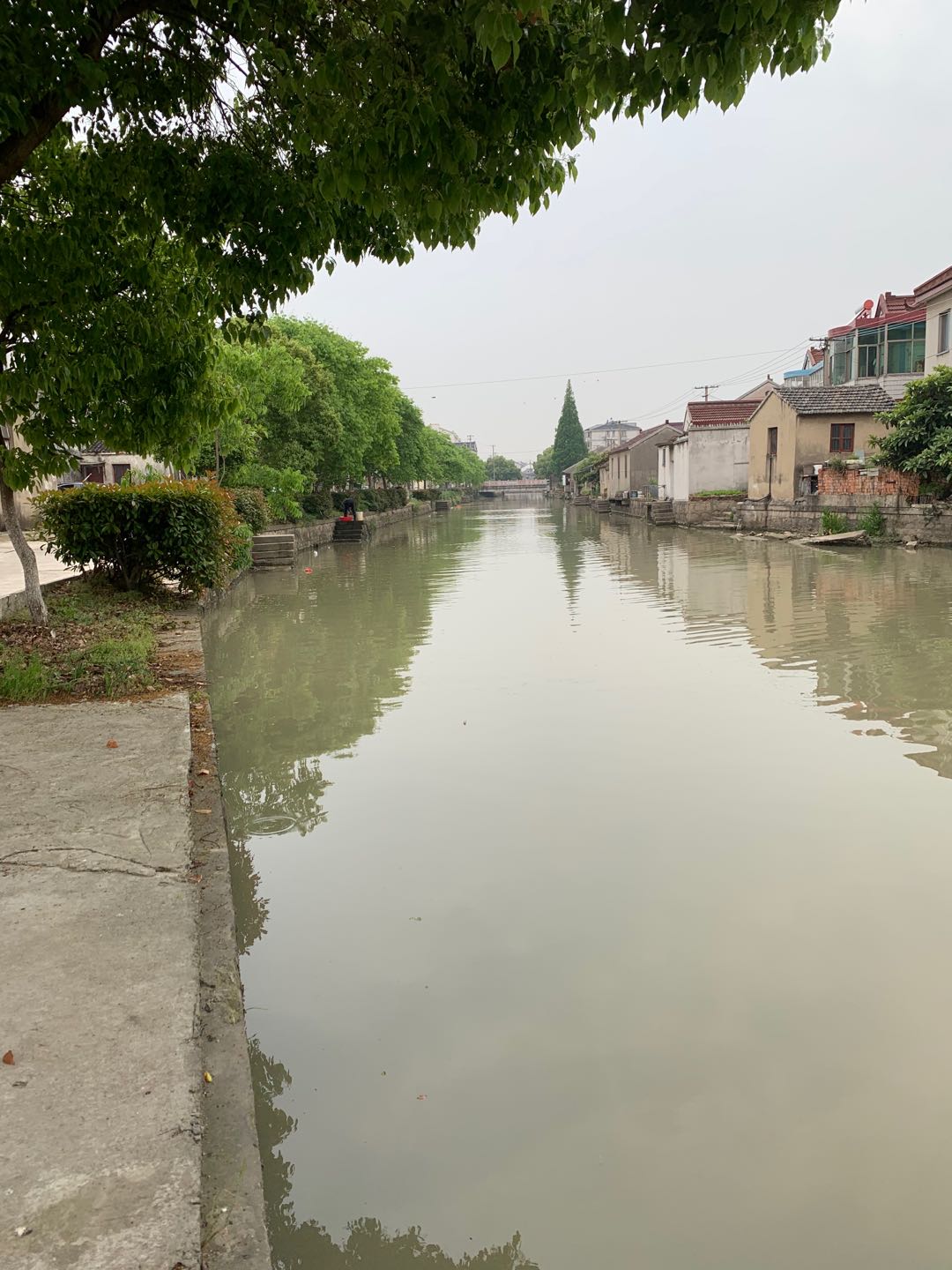 请问八坼街道友联村吴家馆桥东河道两边为啥不装栏杆