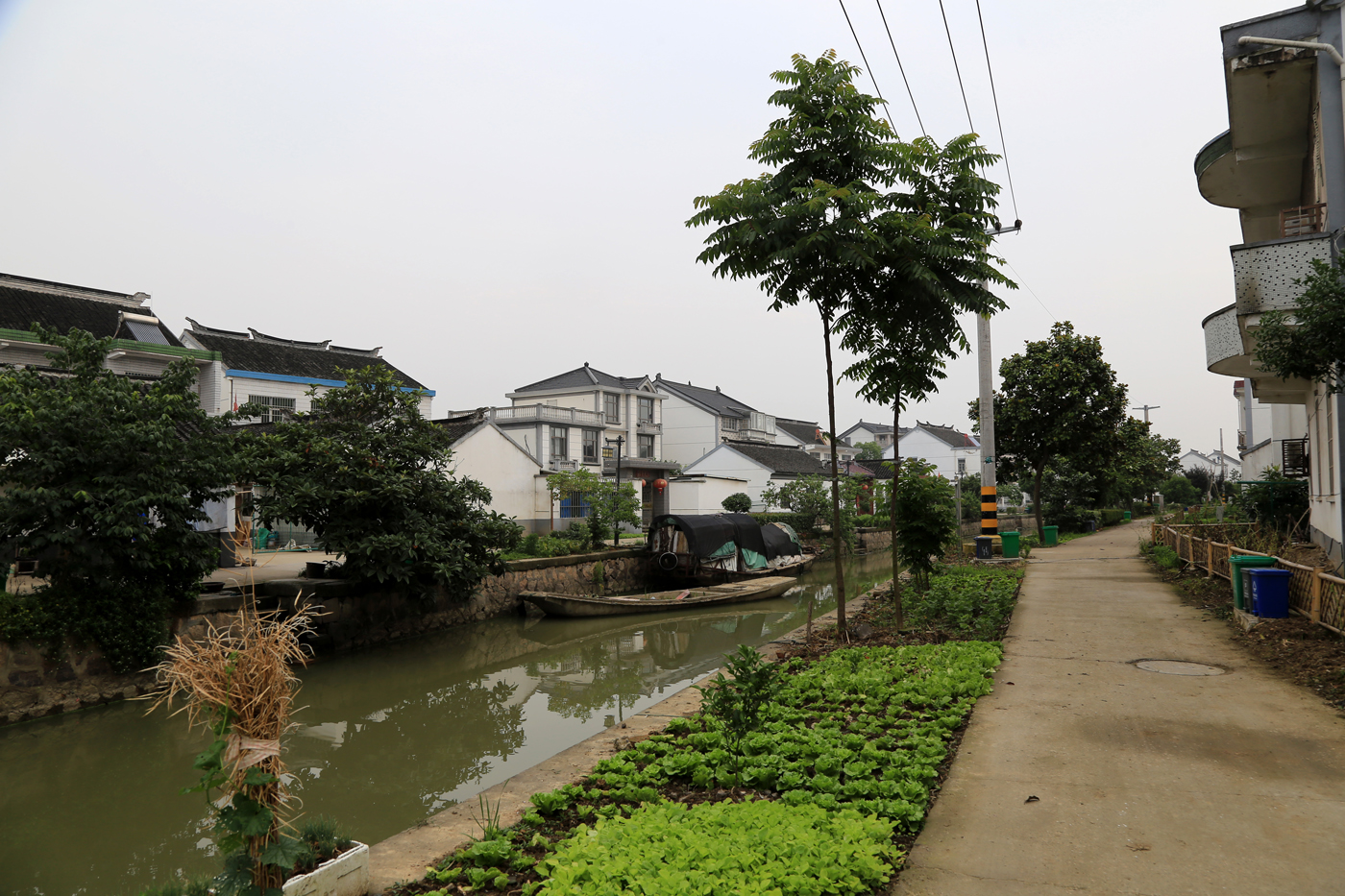 新农村田园生活