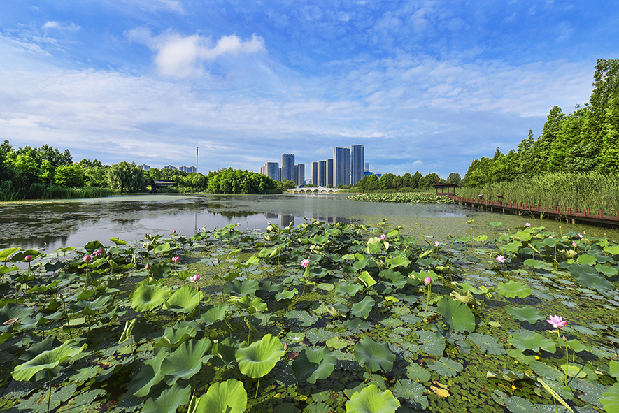东太湖湿地公园景色