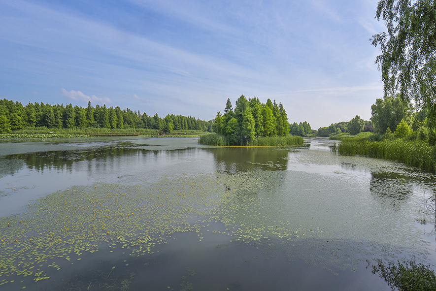东太湖湿地公园景色