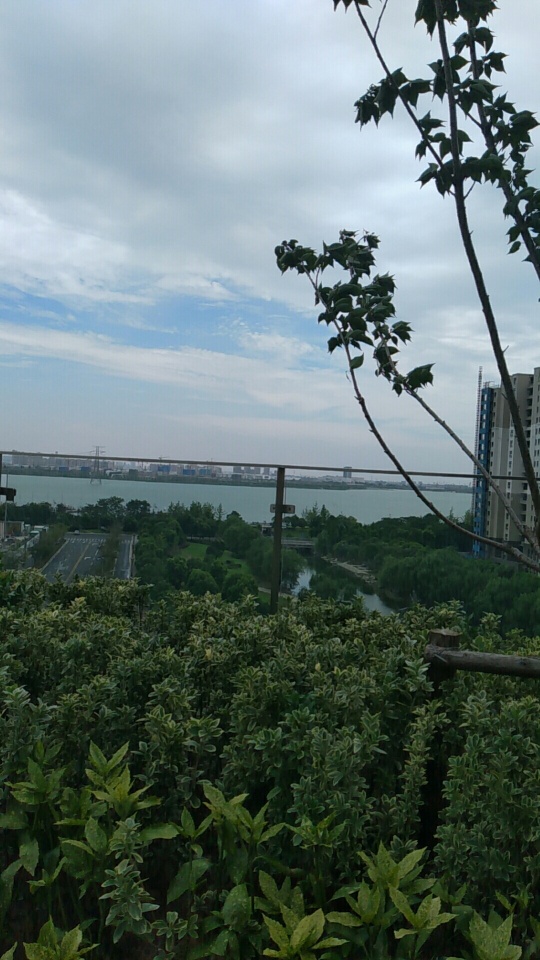 今天歌林公园半日游看到了传说中的神兽