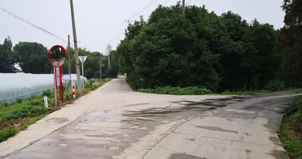 金家坝银杏村8组孟香港桥西t字路口严重肓区存在安全隐患好多年