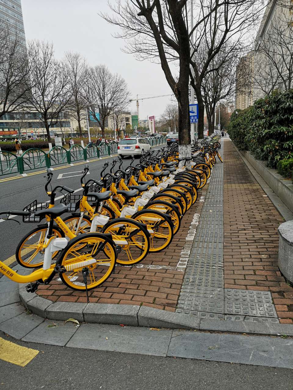 疯狂投放的美团共享单车