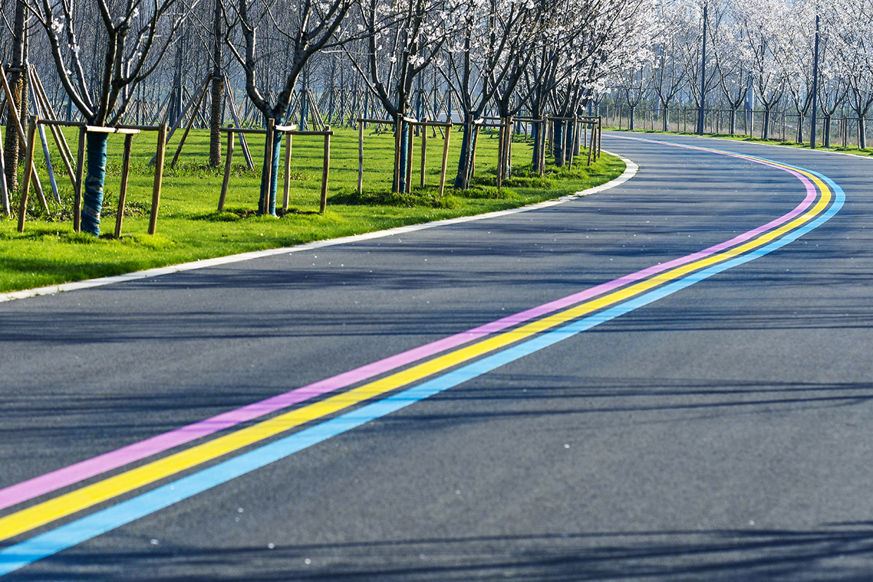 太湖新城万公堤休闲健身好去处