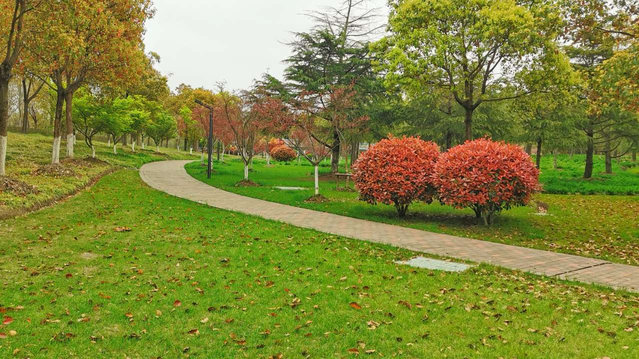 今天胜地公园春天景色